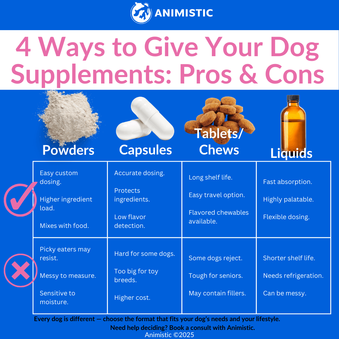 Infographic explaining what supplements should dogs take, comparing powders, capsules, tablets/chews, and liquids, with pros and cons.