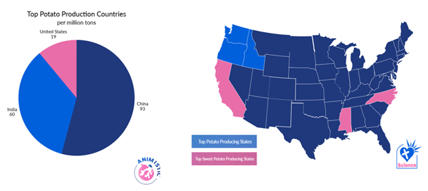 Potato production pie chart + U.S. potato and sweet potato map