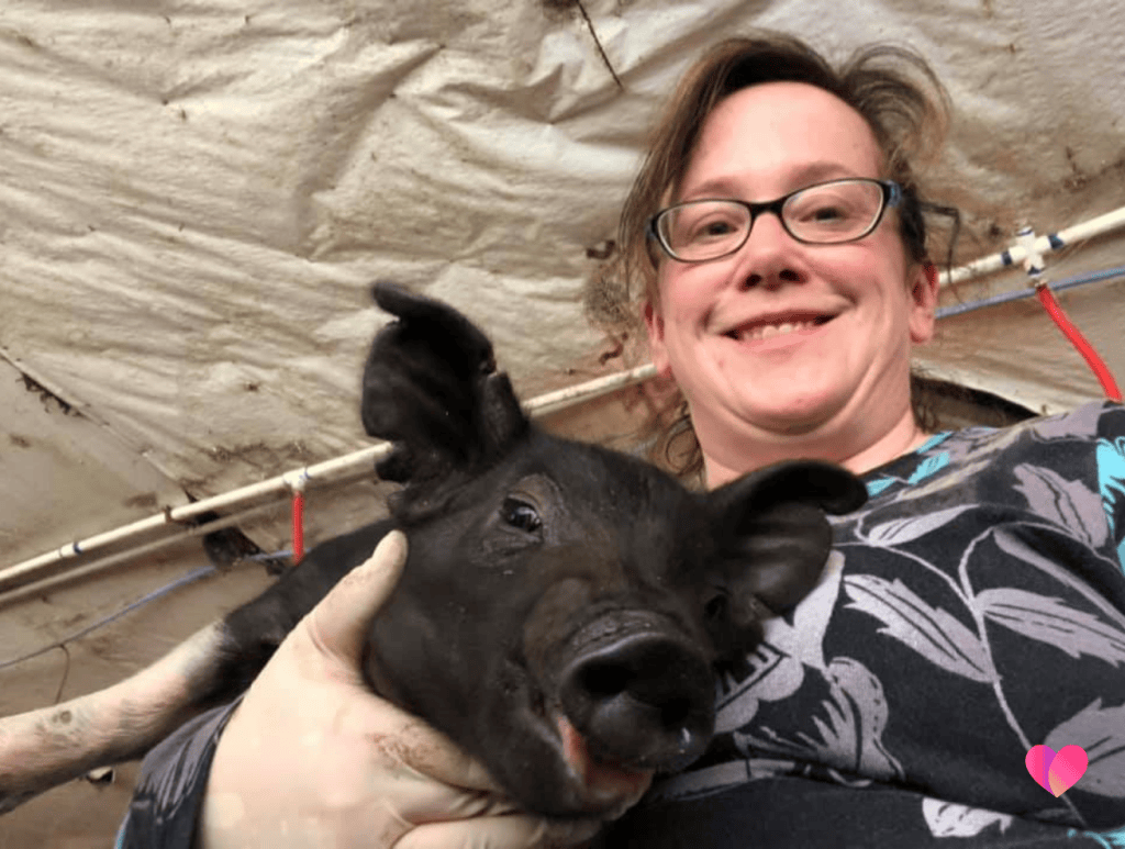 Swine Terminology - Learn the Industry Language | ANIMISTIC