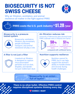 Infographic explaining PRRS in pigs, showing biosecurity, ventilation, air filtration, nutrition, and animal resilience as part of disease control.